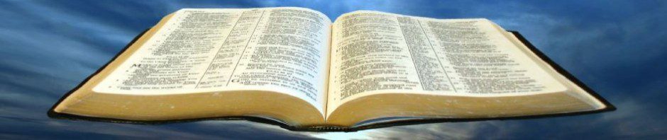 cropped open bible