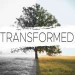 Bluntisham Baptist Church Sermons