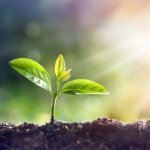 Bluntisham Baptist Church Sermons